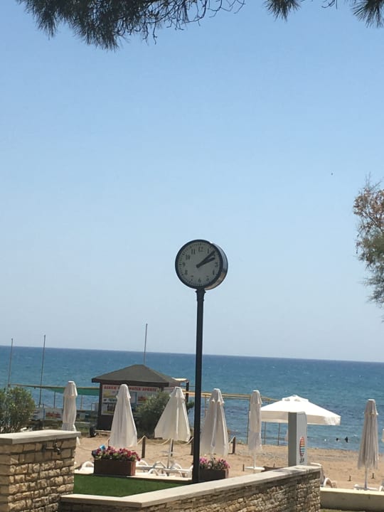 Strand Arum Barut Collection