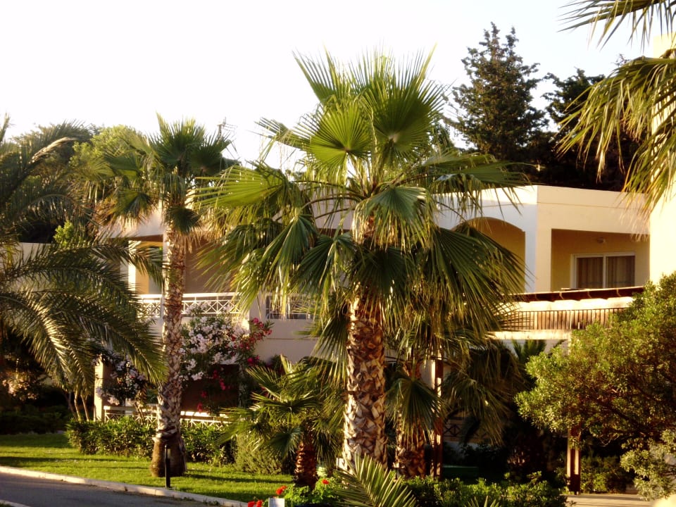 Gartenanlage  Kipriotis Hippocrates Hotel