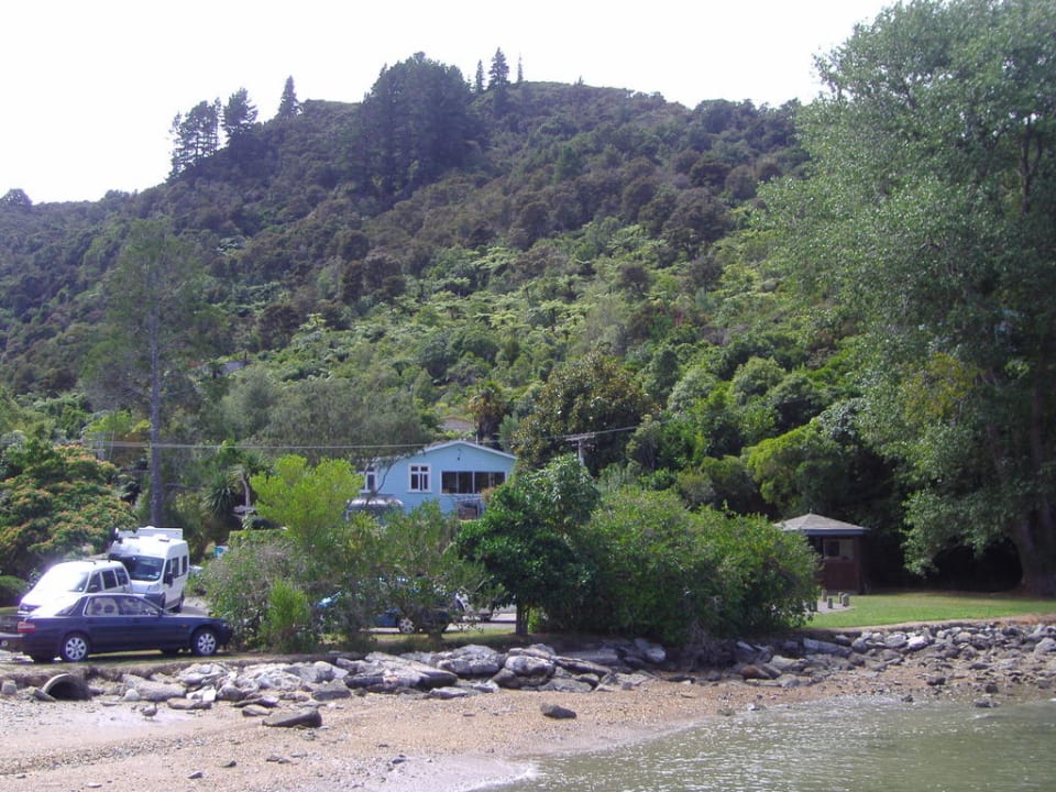 Vom Steeg Anakiwa 401