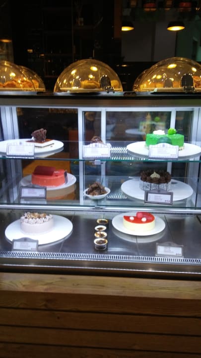 Gastro Acanthus Cennet Barut Collection