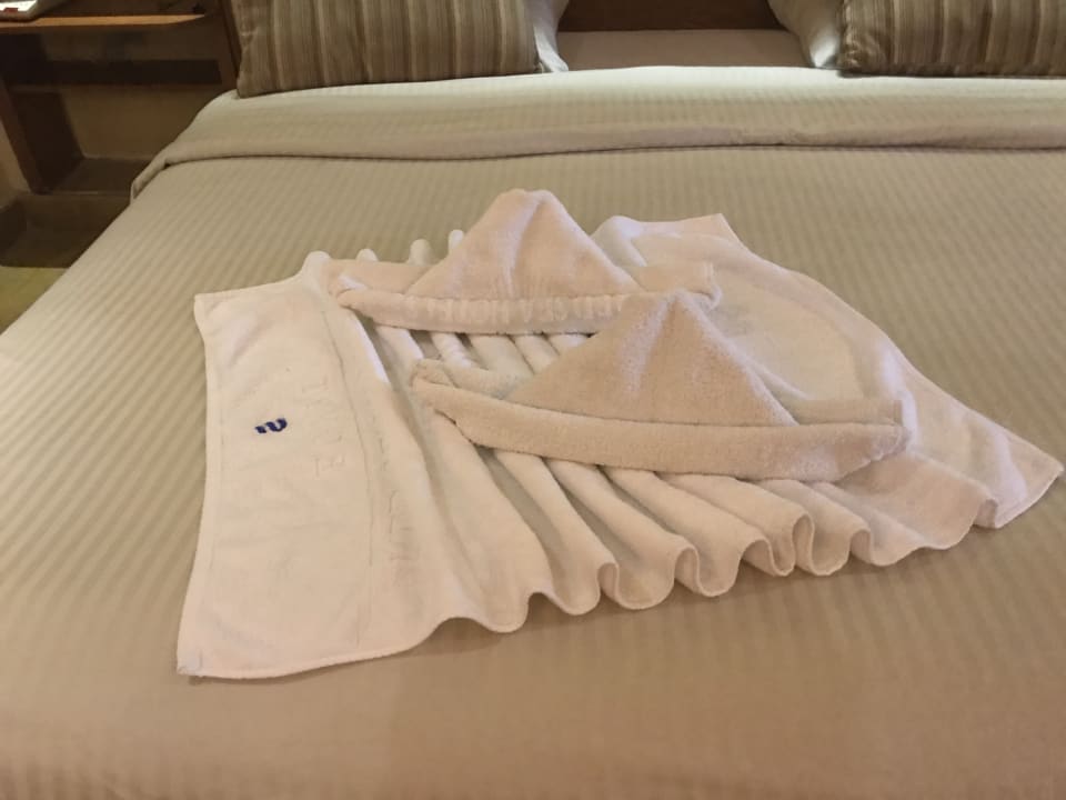 Zimmer Grand Waterworld Makadi & Family Star Makadi