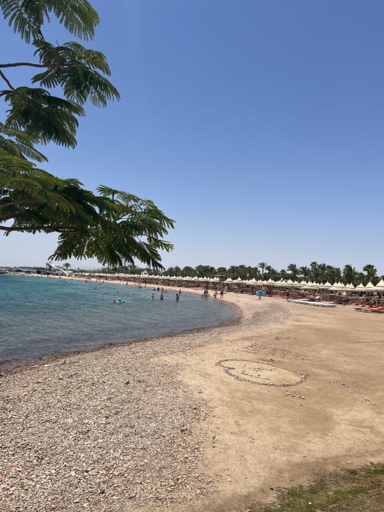 Strand The Grand Palace - Adults only