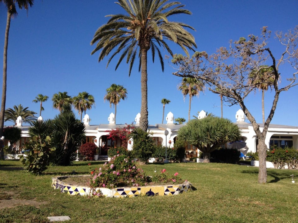 Die Bungalows im schönen Garten  Sahara Beach Club