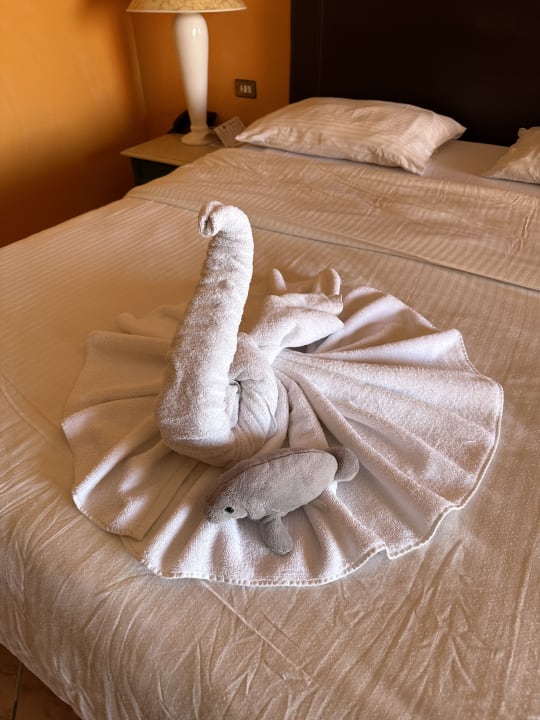 Zimmer Arabia Azur Resort