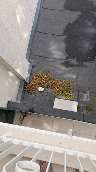 Ausblick Hotel Borjana