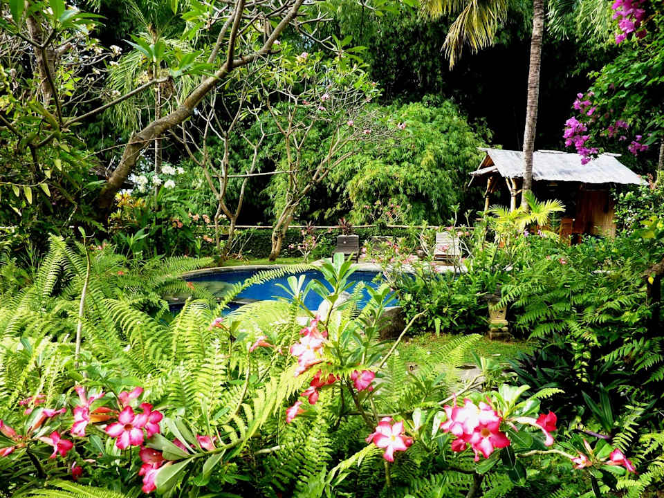 Gartenanlage Saraswati Holiday House