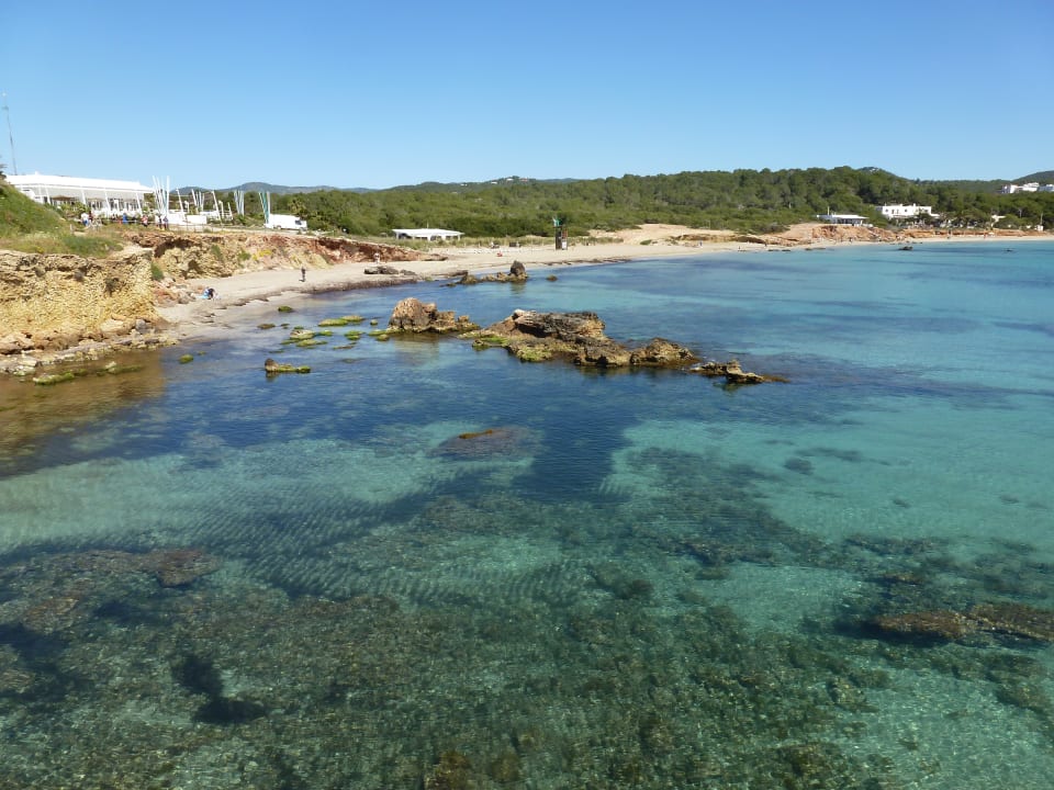 Strand Moon Dreams Coral Beach