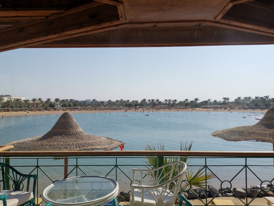 Ausblick Desert Rose