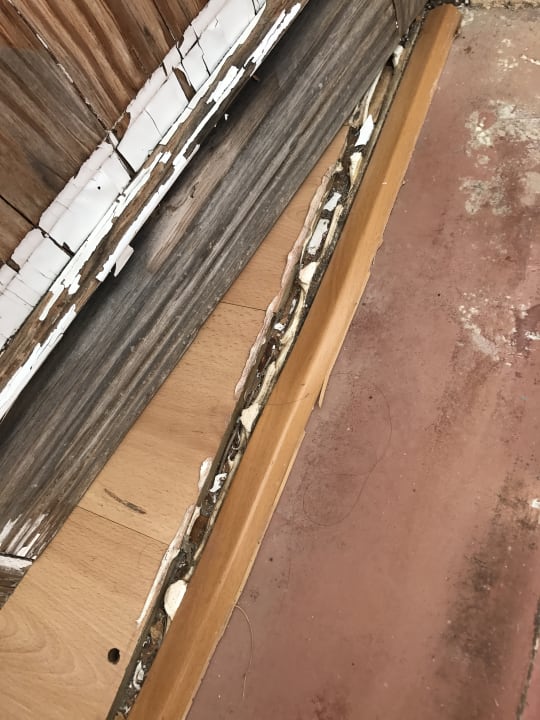 Zimmer Apartamentos Vista Alegre Mallorca