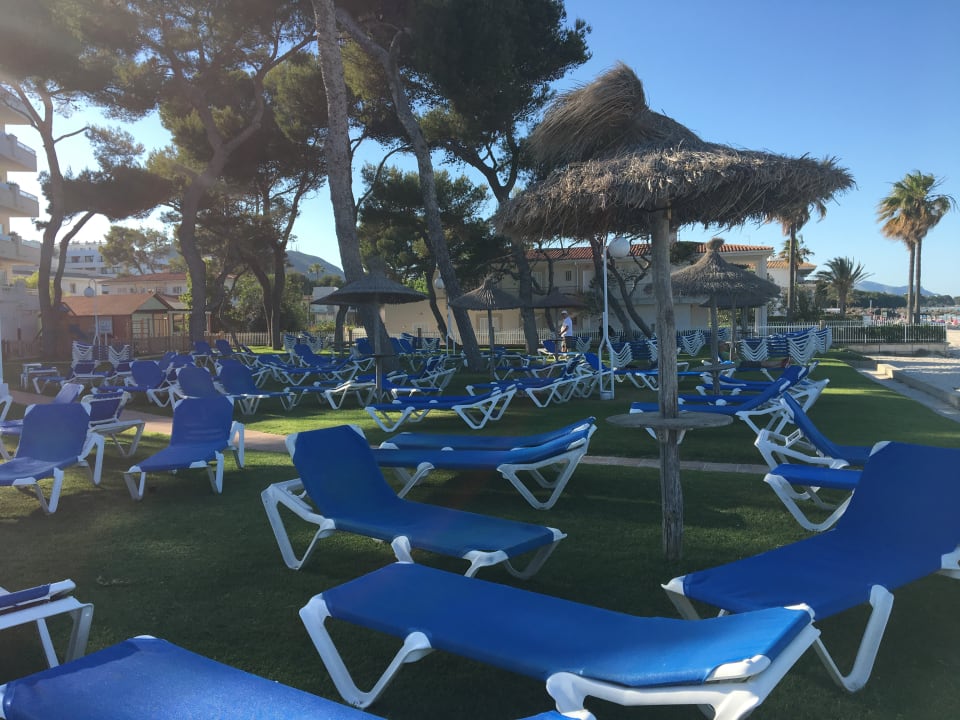 Gartenanlage Grupotel Los Príncipes Apartments & Spa