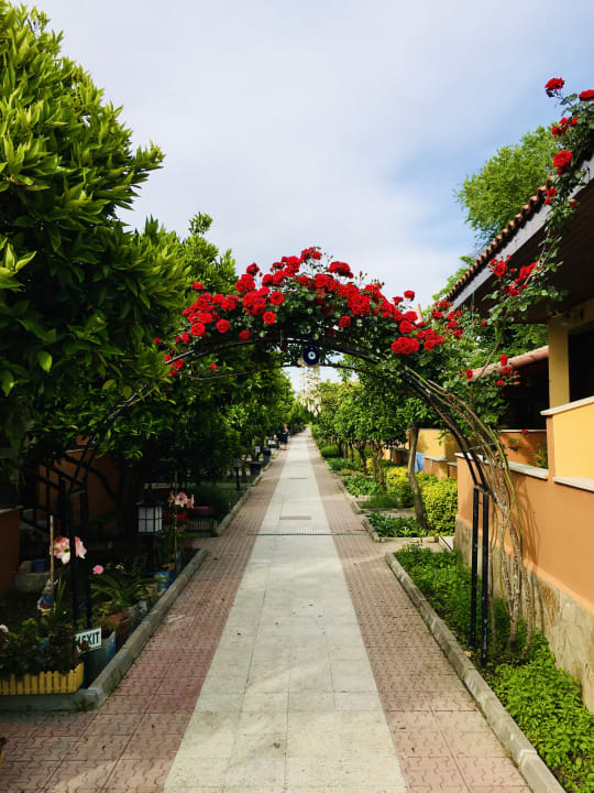 Gartenanlage Özlem Garden Hotel