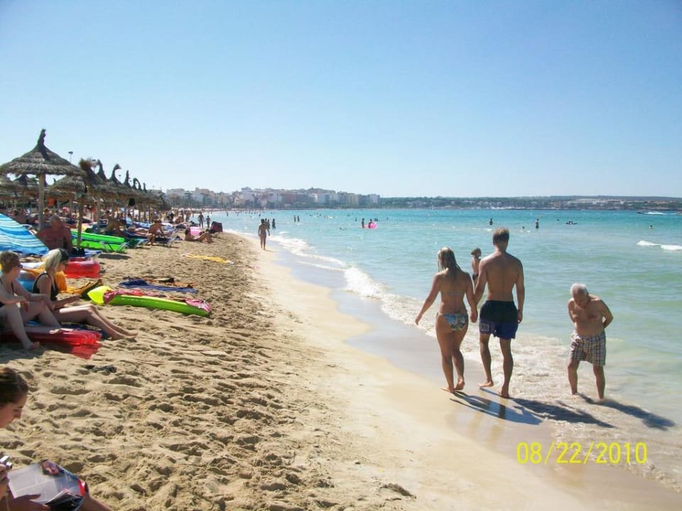 Sehr flach Hotel Riu Bravo