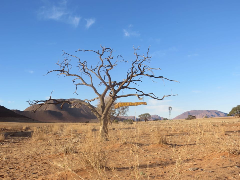 Eingangsbereich der Farm Koiimasis Ranch