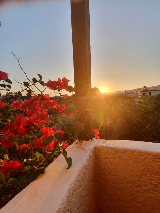 Ausblick Hotel Malia Studios Apartments