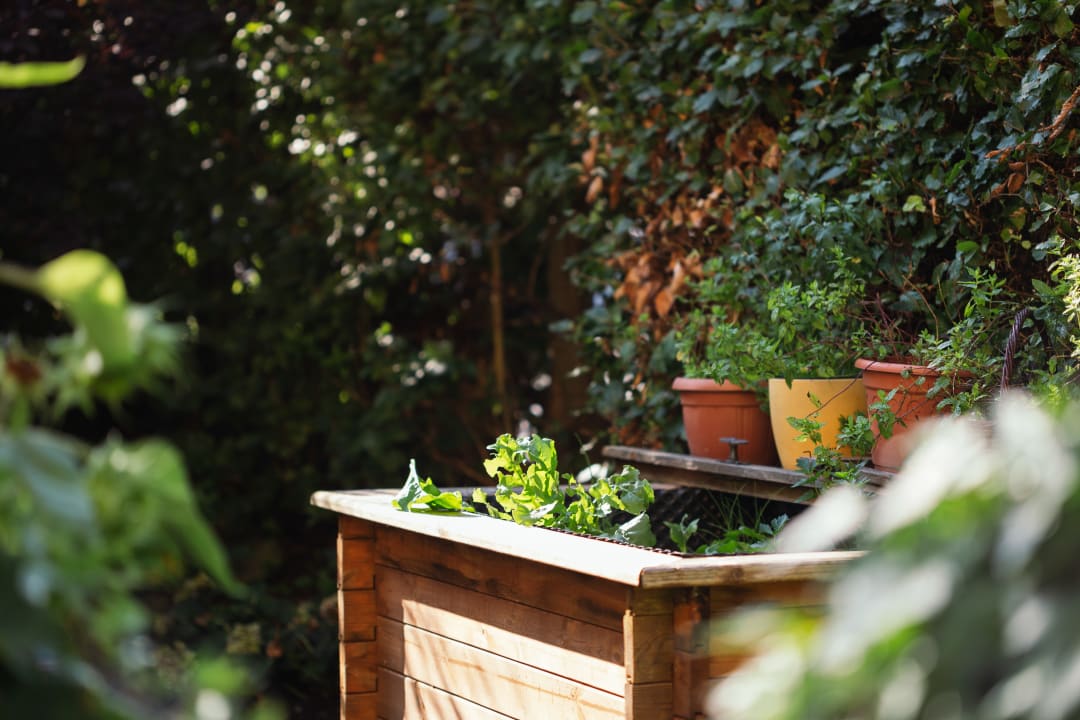 Gartenanlage Viktorias Home In Room Spa Appartements