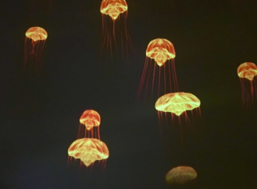 Lobby Son Moll Sentits Hotel & Spa