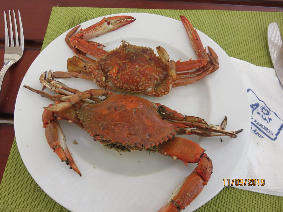 Gastro Pharaoh Azur Resort