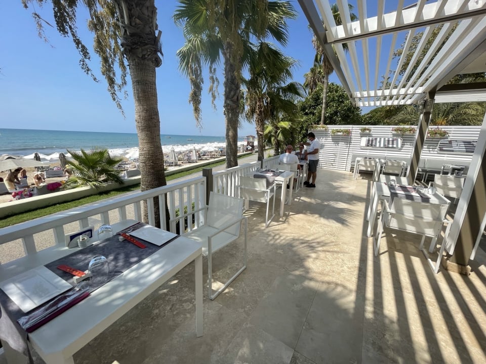 Strand Acanthus Cennet Barut Collection