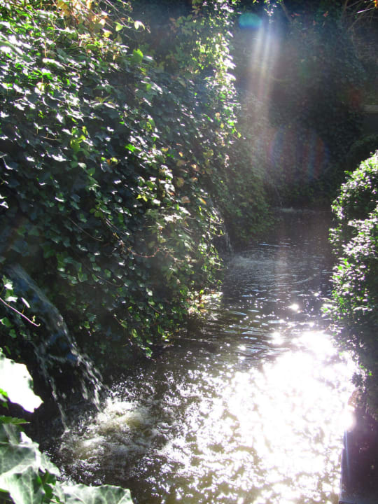 Jardin Hotel Manos Premier