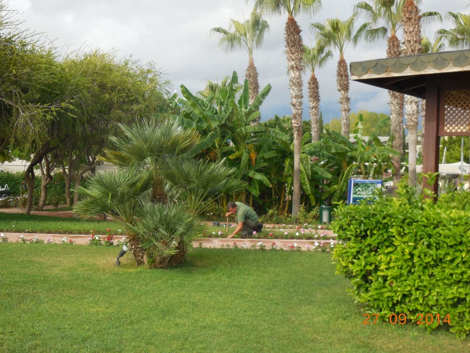 Территория Limak Limra Hotel & Resort