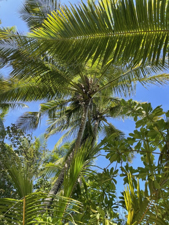 Ausblick Medhufushi Island Resort