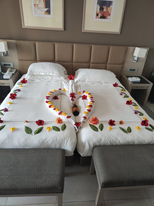 Zimmer Cleopatra Luxury Resort Makadi Bay