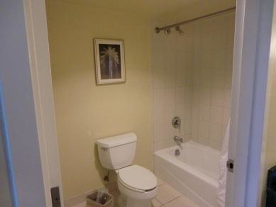 Bad Royal Palm South Beach Miami, a Tribute Portfolio Resort