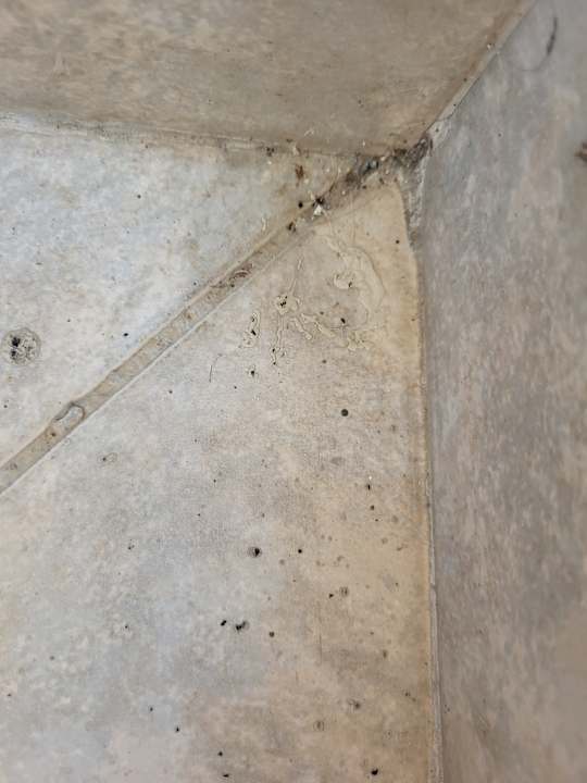 Ausblick Labranda Mares Marmaris