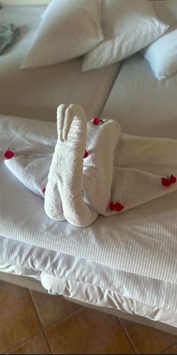 Zimmer Pickalbatros Villaggio Resort - Portofino