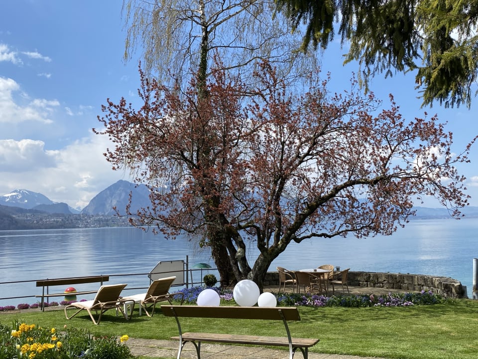 Gartenanlage Gut Ralligen