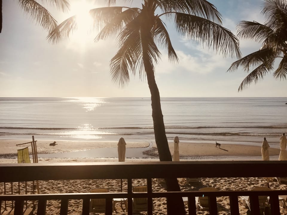 Zimmer Samui Paradise Chaweng Beach Resort & Spa