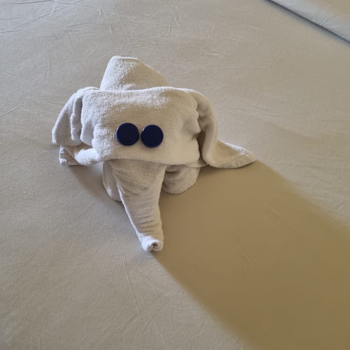 Zimmer Makadi Spa - Adults only