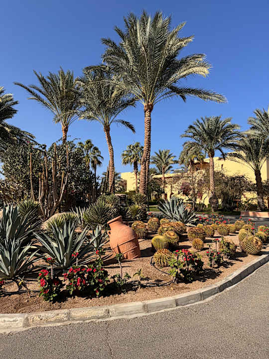 Gartenanlage Steigenberger Coraya Beach - Adults only