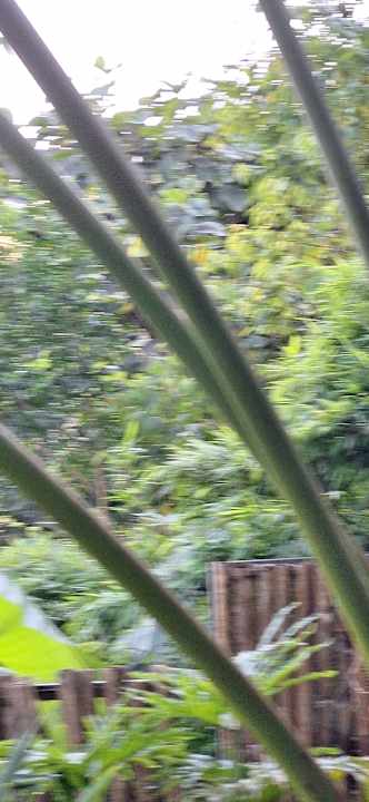 Gartenanlage Pu Luong Eco Garden