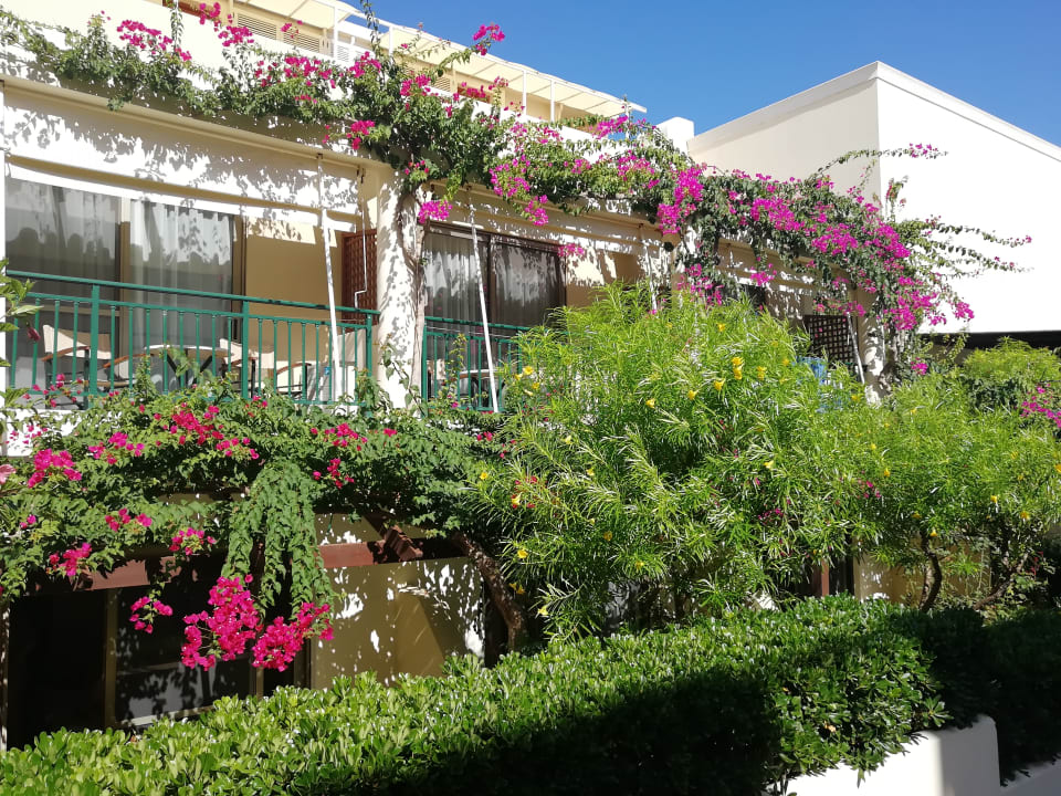 Gartenanlage Hydramis Palace Beach Resort