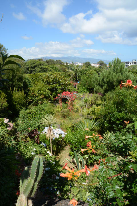 Gartenanlage Apartments Quinta De Santana