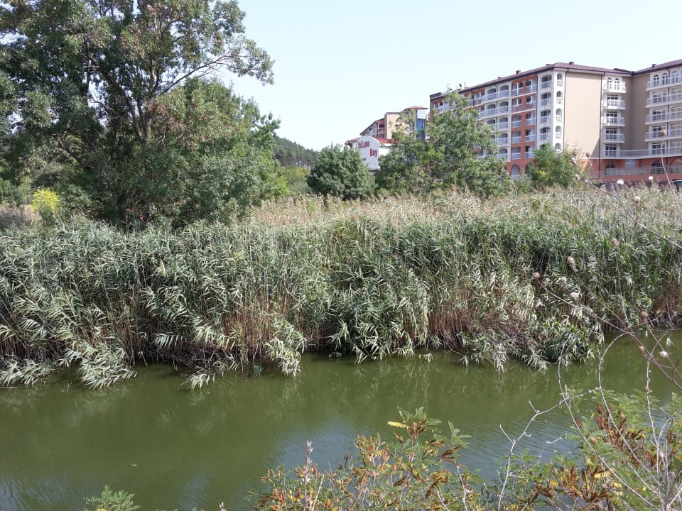 Außenansicht Sol Luna Bay