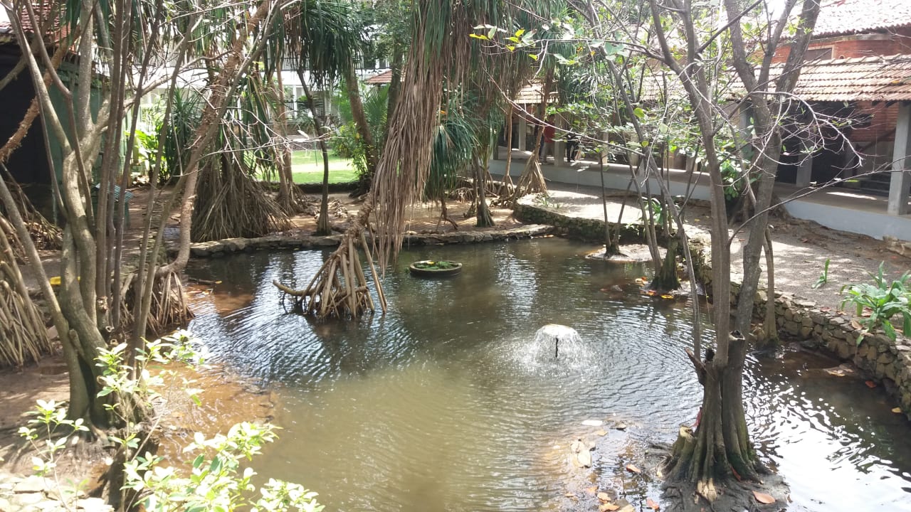 Gartenanlage Club Hotel Dolphin