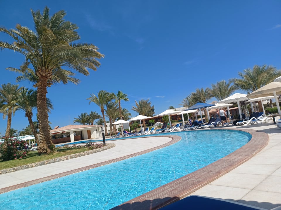 Pool Pharaoh Azur Resort