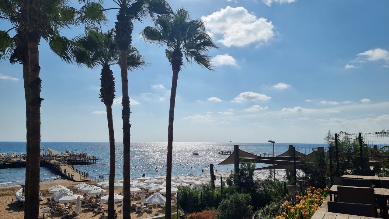 Ausblick Arum Barut Collection