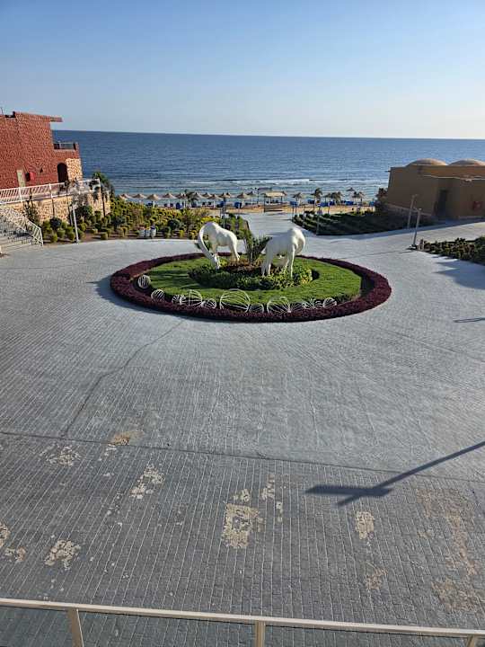 Gartenanlage Pickalbatros Vita Resort - Portofino Marsa Alam