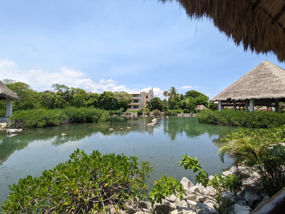 Gartenanlage Grand Palladium Select White Sand Resort & Spa