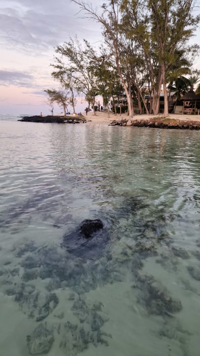 Strand Crystals Beach Resort Belle Mare, a member of Radisson Individuals