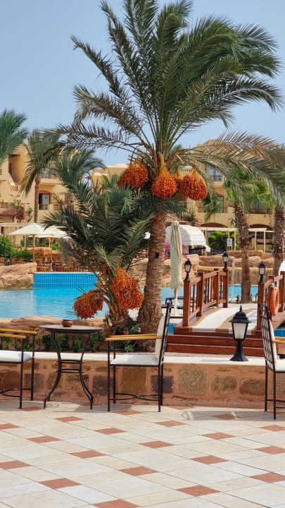 Pool Steigenberger Coraya Beach - Adults only