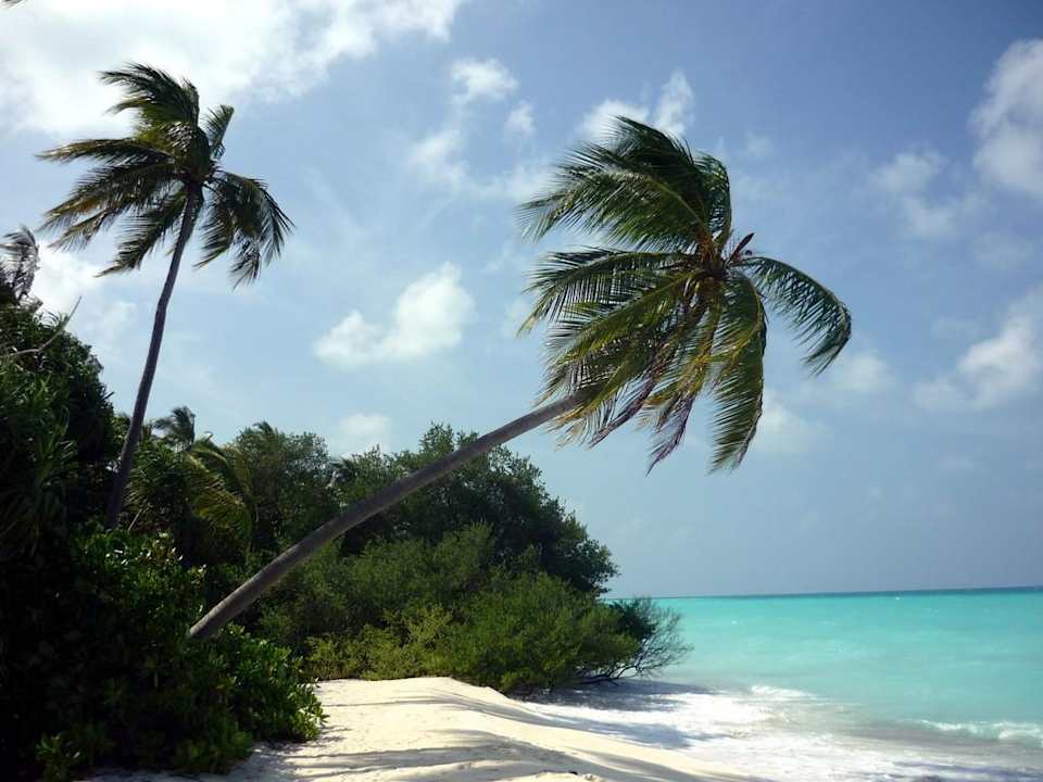 Traumstrand Kuramathi Maldives