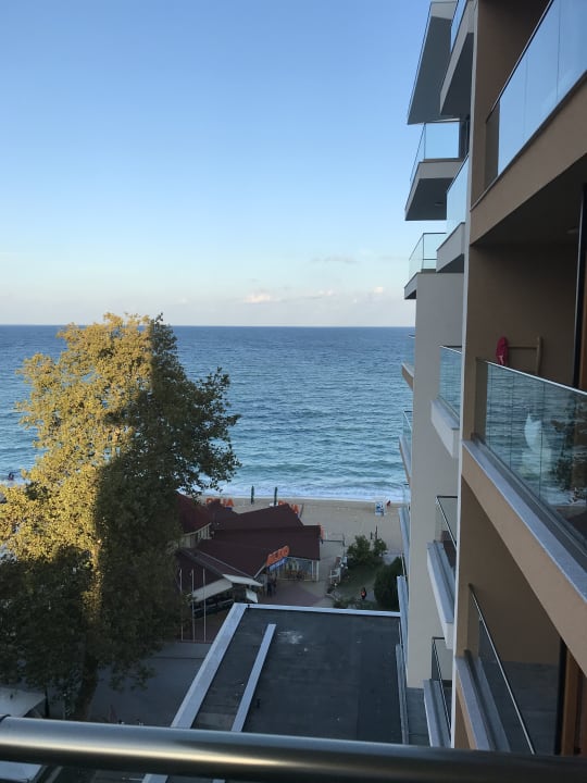 Ausblick GRIFID Vistamar