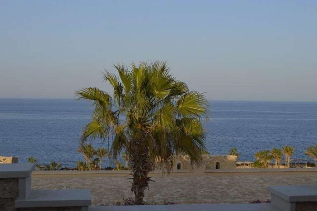 Каждое утро я открывала глаза и видела Pickalbatros Citadel Resort