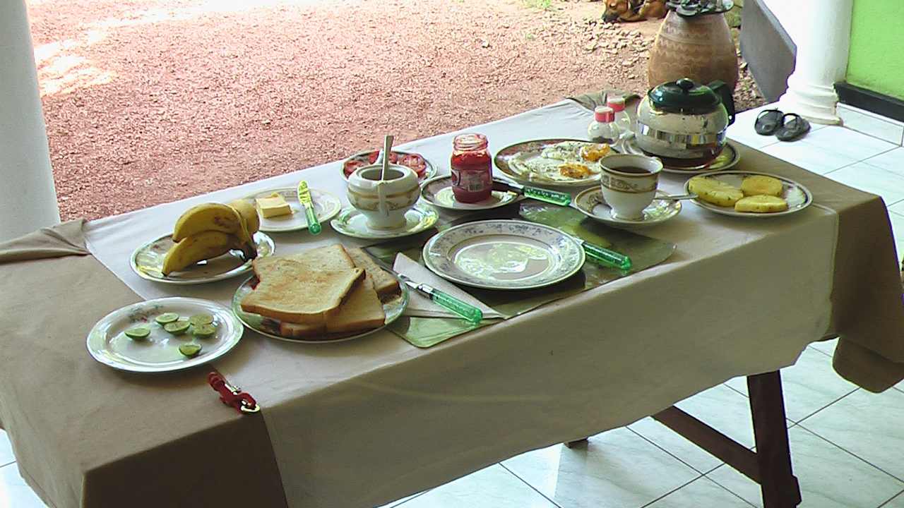 Gastro Sunshine Guesthouse