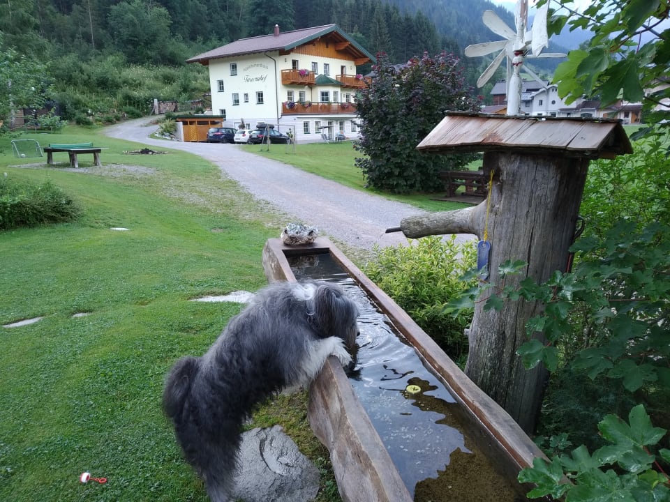 Gartenanlage Apartment Tauernhof