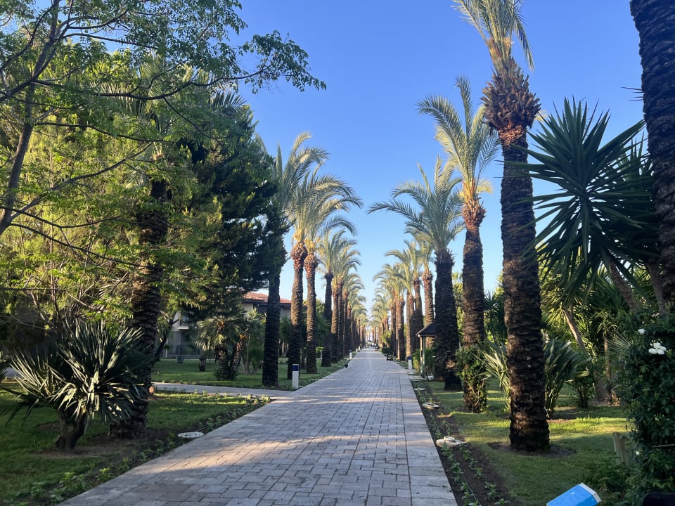 Gartenanlage TUI BLUE Palm Garden